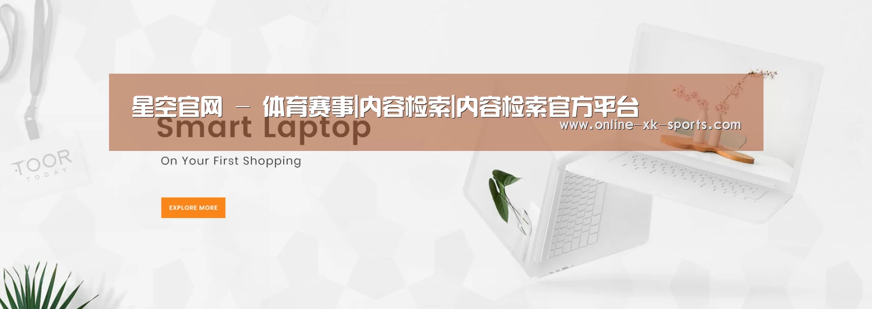 某某网络科技有限公司