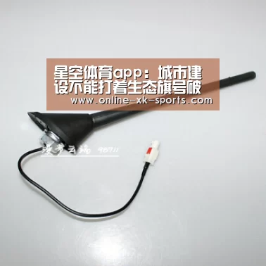 星空体育app团队