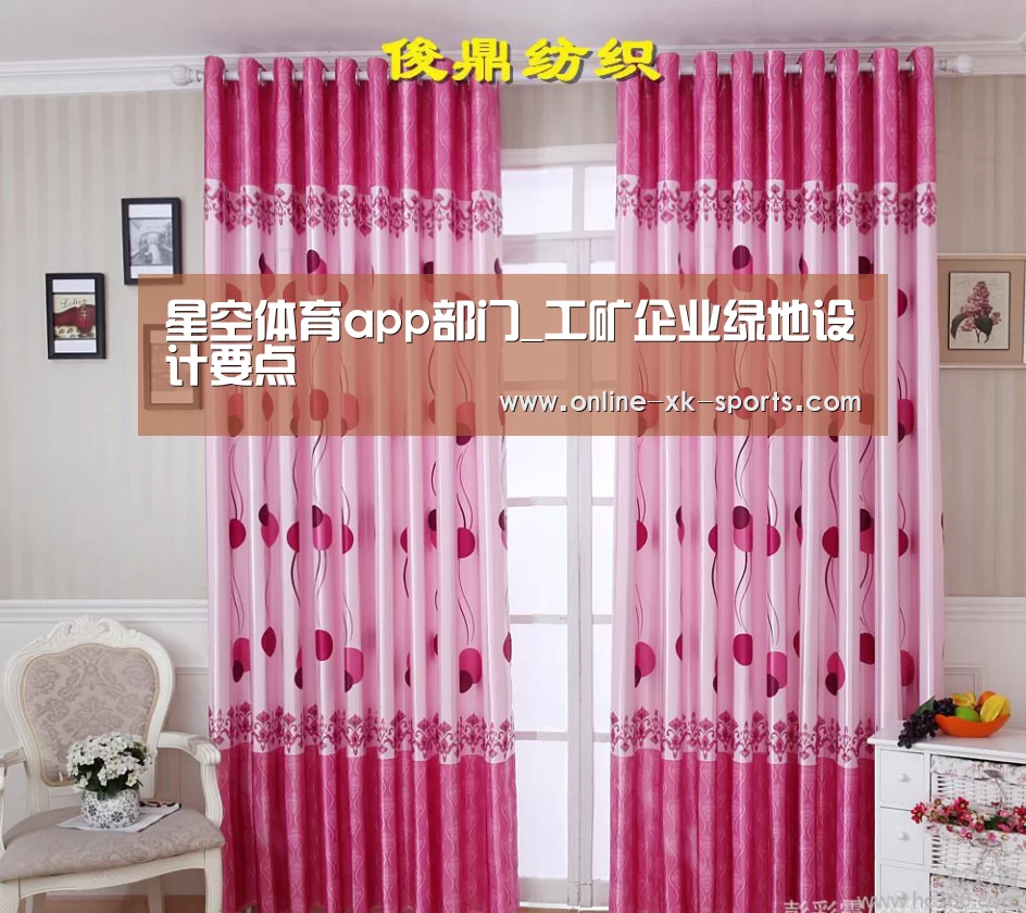 星空体育app团队