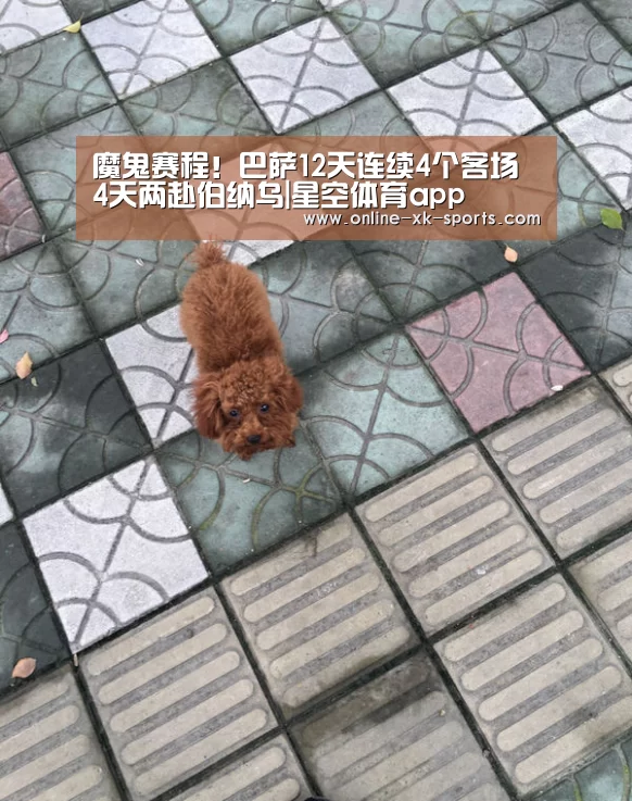 魔鬼赛程!巴萨12天连续4个客场 4天两赴伯纳乌|星空体育app(图4) 星空体育app公司