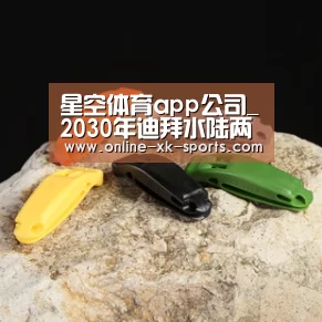 星空体育app公司_2030年迪拜水陆两栖汽车概念设计(图2) 星空体育app公司