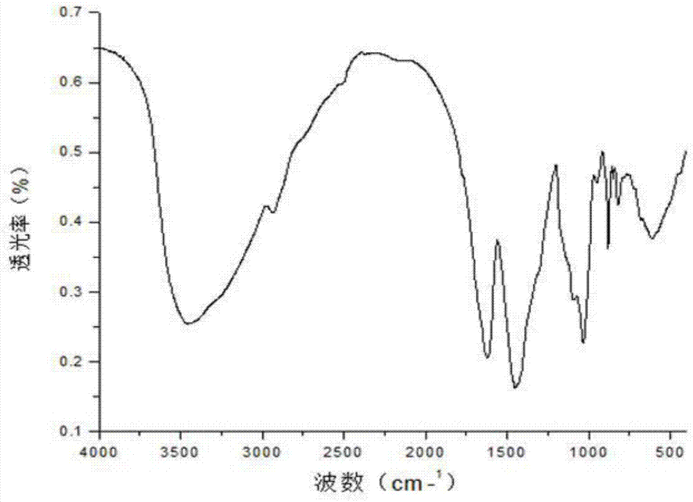星空体育app团队