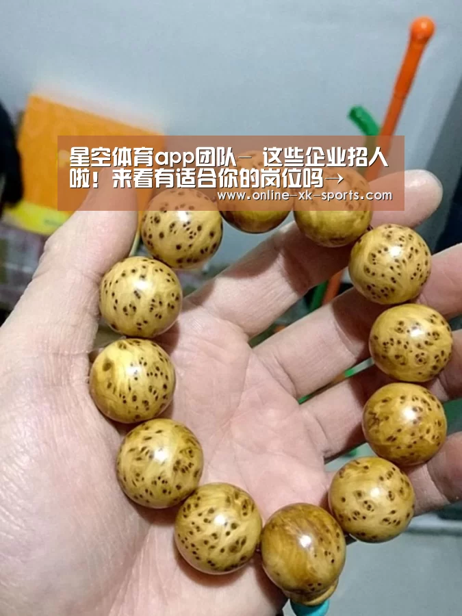 星空体育app公司