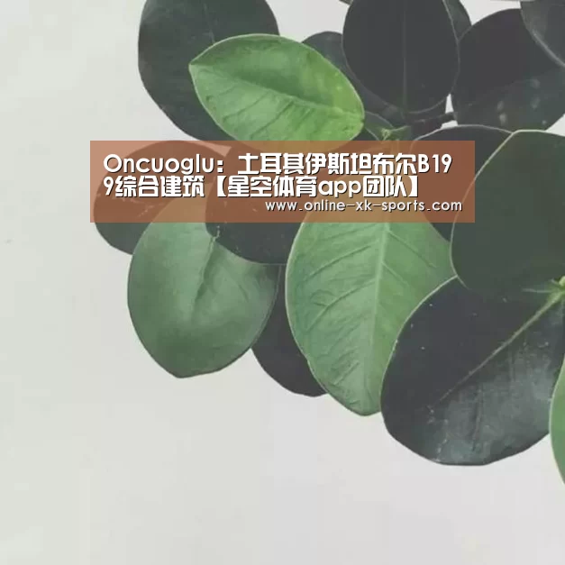 Oncuoglu:土耳其伊斯坦布尔B199综合建筑【星空体育app团队】(图2) 星空体育app团队