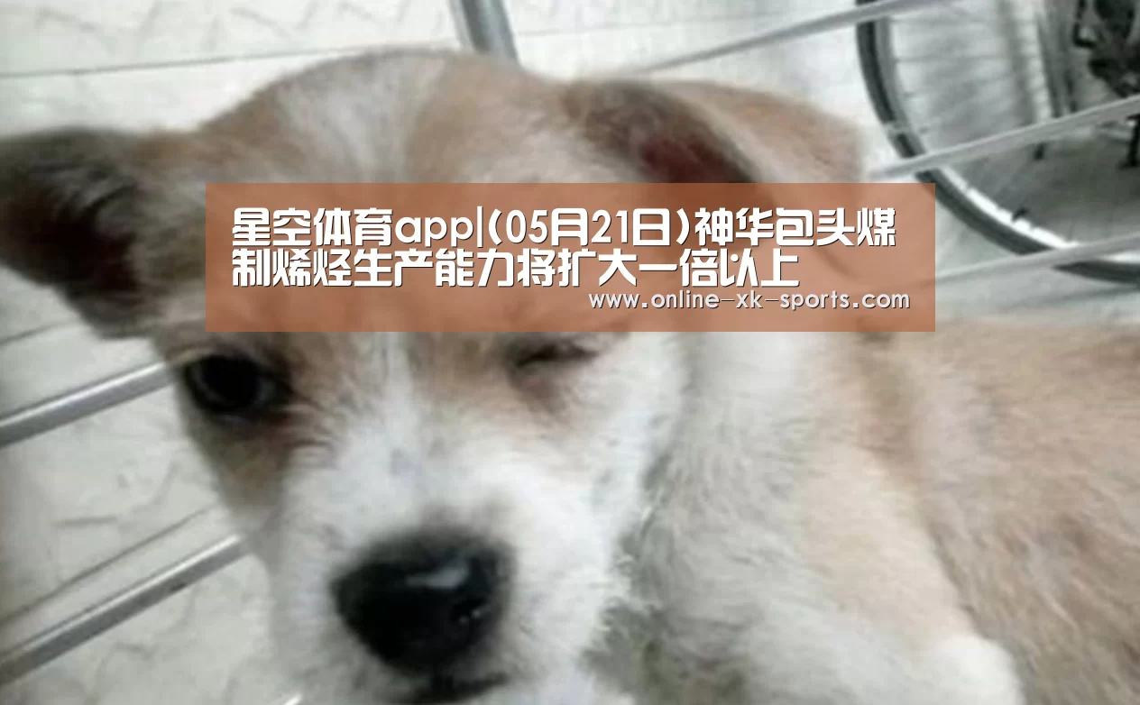 星空体育app团队