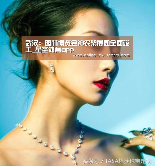 星空体育app公司