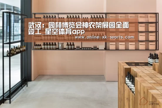 星空体育app