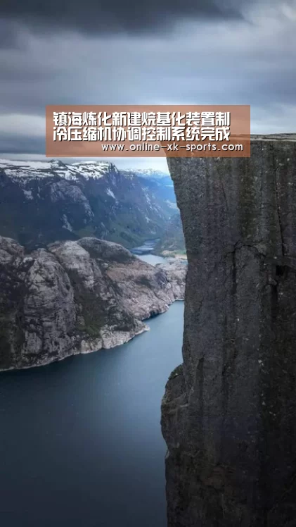 镇海炼化新建烷基化装置制冷压缩机协调控制系统完成出厂验收-星空体育app部门(图2) 星空体育app公司