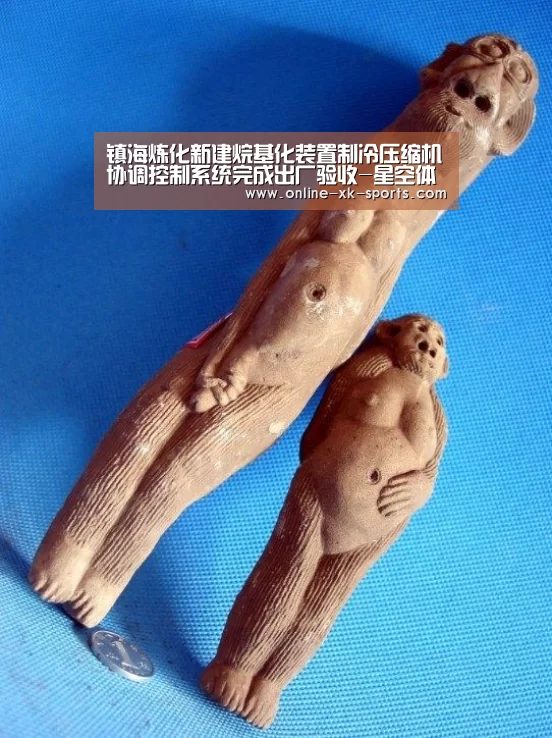镇海炼化新建烷基化装置制冷压缩机协调控制系统完成出厂验收-星空体育app部门(图1) 星空体育app部门
