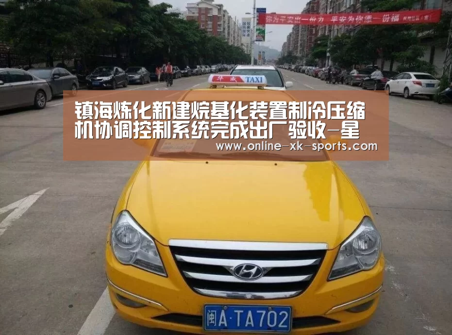 镇海炼化新建烷基化装置制冷压缩机协调控制系统完成出厂验收-星空体育app部门(图4) 星空体育app部门